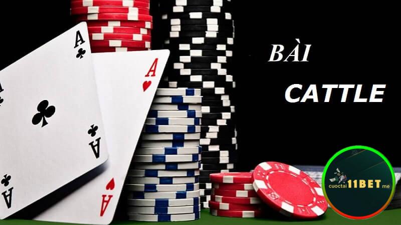 Cách chơi bài catte hay với những tân thủ luôn là điều không phải dễ dàng