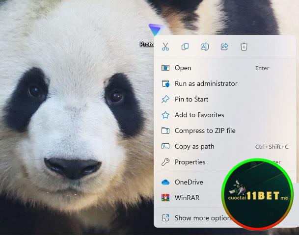 Chờ đợi quá trình tải xuống phần mềm ProtonVPN hoàn tất