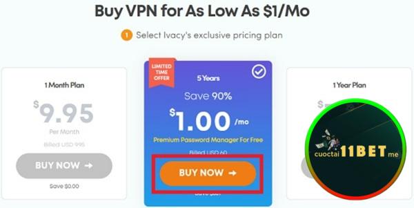 Bạn chọn gói dịch vụ và nhấn vào “Buy Now” để thực hiện thanh toán