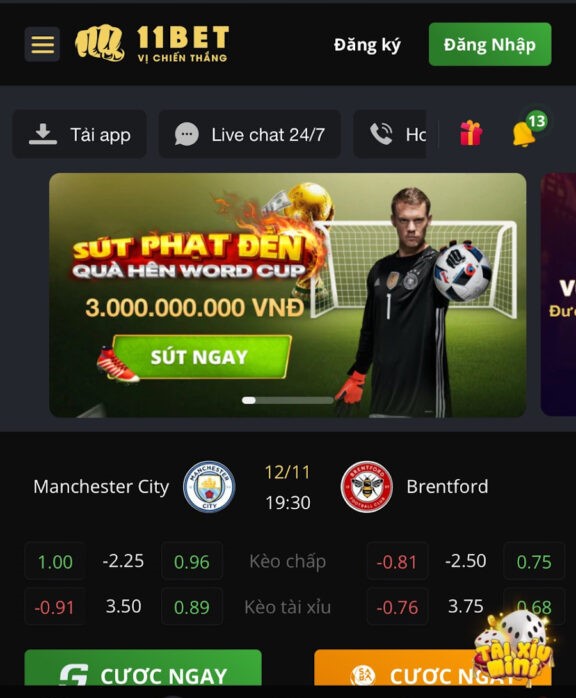 Bắt đầu tham gia chơi cá cược 11bet cùng phần mềm giả lập Mumu Player